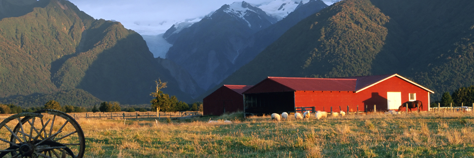 aon-nz-agri-business-insurance